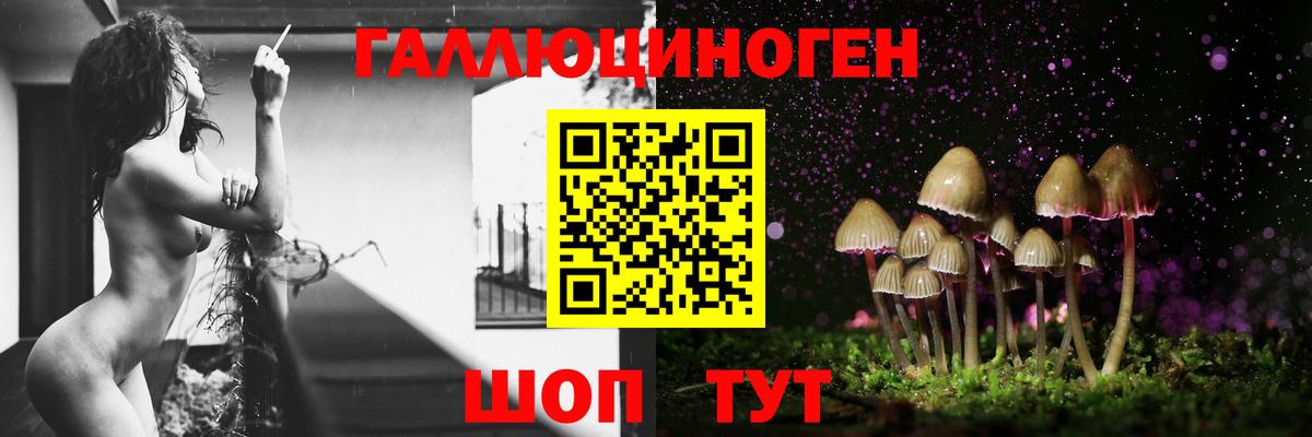 Псилоцибиновые грибы мухоморы  Вход с VPN  Псилоцибиновые грибы мухоморы  Татарск 